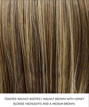 Hot Buy - Belle Tress - Lux Collection - Fendi V